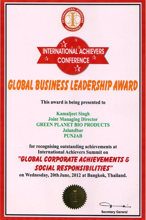 Global Business Leadership Award