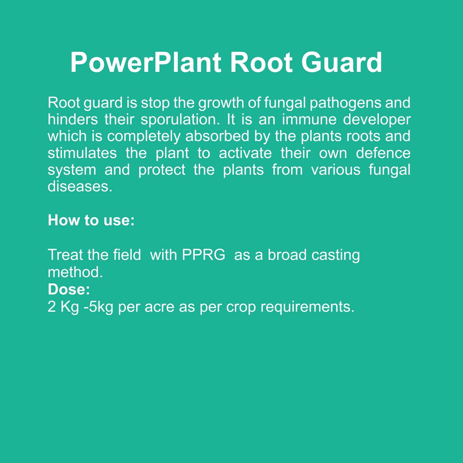 Root Guard 